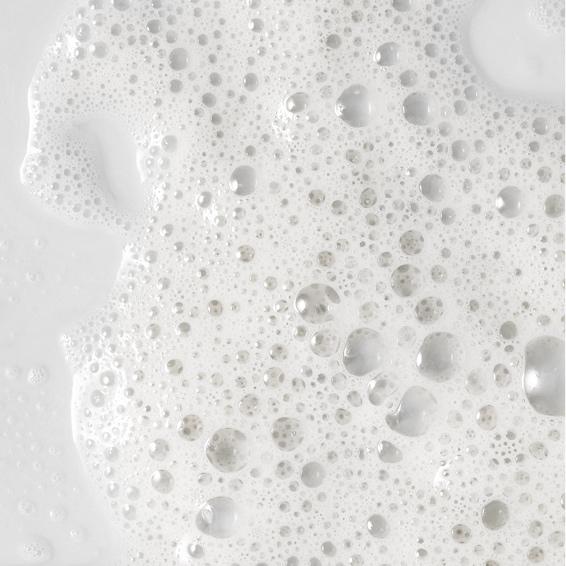 Bloom Total Sculpt Membership